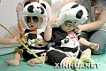 babypanda3