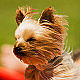 kelsee's picture