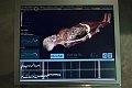 NUP_106414_0894