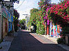 Balmy Alley is famous for its murals and is located in the Mission