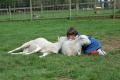 aldor_acres_spring_2006_30