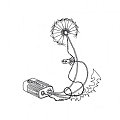 Picture-6