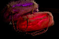 pursemix_chris_004_Med_1