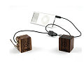 wood-speaker-2