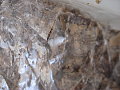 IMG_0432.JPG