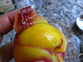 IMG_0623.JPG