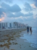 Miami Beach