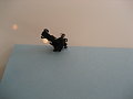 IMG_0941.JPG
