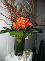 IMG_1649.JPG