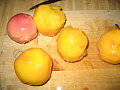 IMG_3383.JPG