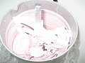 IMG_4056.JPG