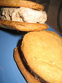 IMG_4440.JPG