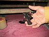 IMG_0176.JPG