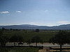 IMG_0194.JPG