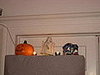IMG_1246.JPG