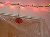 IMG_1249.JPG