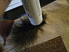 IMG_1437.JPG