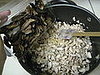 IMG_1478.JPG