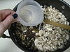IMG_1480.JPG