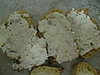 IMG_1494.JPG
