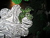 IMG_1558.JPG