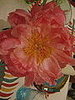 IMG_1567.JPG