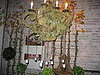 IMG_1568.JPG