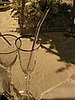 IMG_1583.JPG