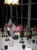 IMG_1619.JPG
