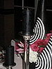IMG_1621.JPG