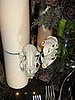 IMG_1625.JPG