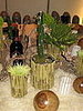 IMG_1634.JPG