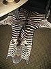 IMG_1640.JPG