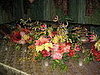 IMG_1652.JPG