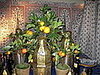 IMG_1665.JPG