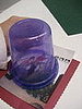 IMG_2245.JPG