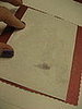 IMG_2250.JPG