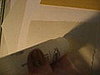 IMG_2481.JPG