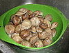 IMG_2613.JPG