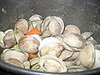 IMG_2617.JPG