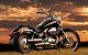 hondarider's picture