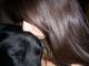 livetolove's picture