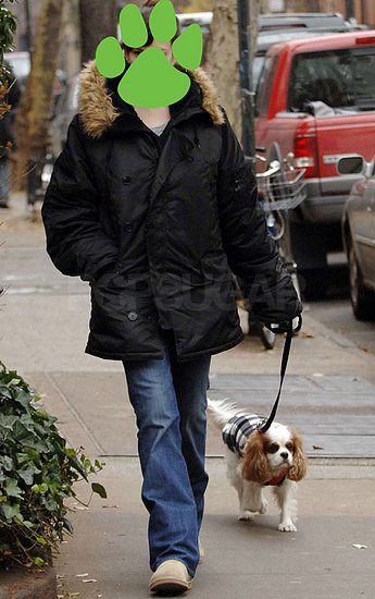 Guess Whose Dog?