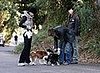 teri hatcher dog walk 091207