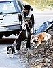 teri hatcher dog walk 091207