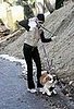 teri hatcher dog walk 091207