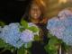 ctstray's picture