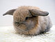 binkyob's picture