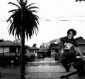 winter ollies