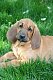 Rubaby's picture